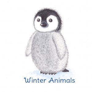 Winter Animals